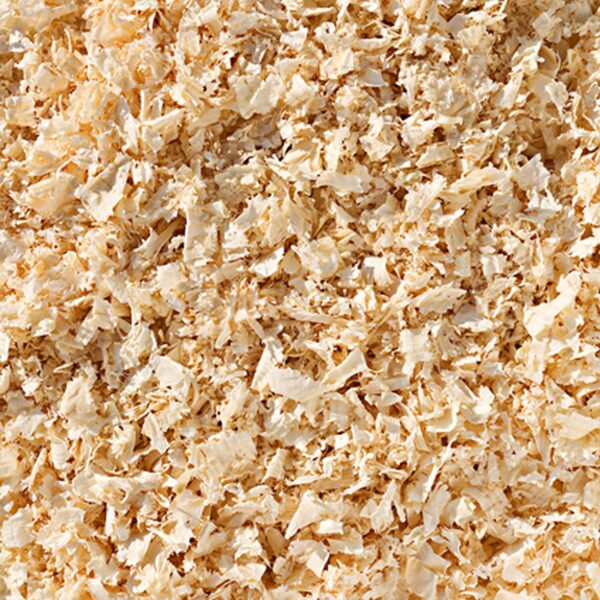 Wood Shavings