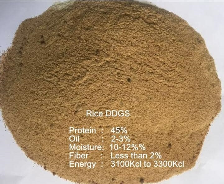 ddgs-007