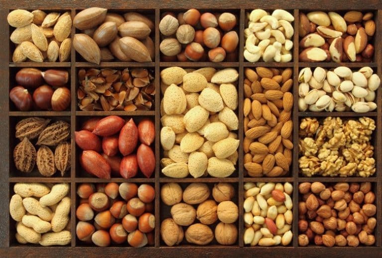 nuts-768x519-1